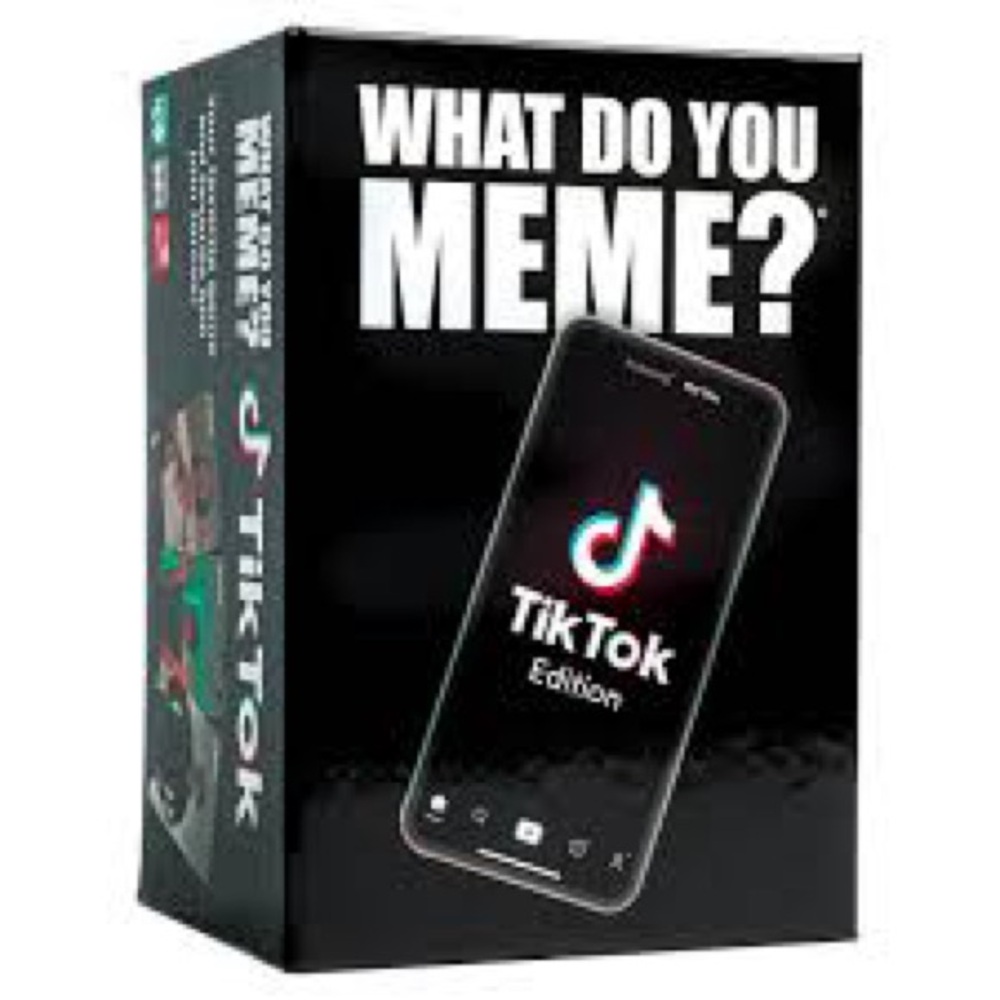 What Do You Meme TikTok edition